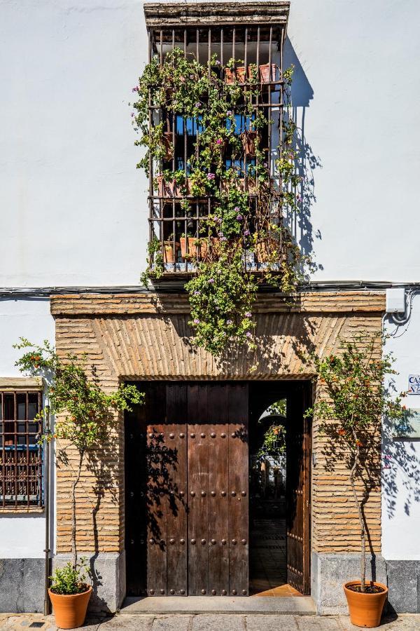 Apartamento con patio cordobés en San Basilio Cordoue Extérieur photo
